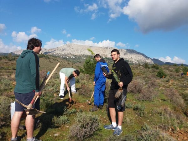 Δενδροφύτευση στην περιοχή του Κοφινά από τους σπουδαστές την ΑΕΝ Χίου