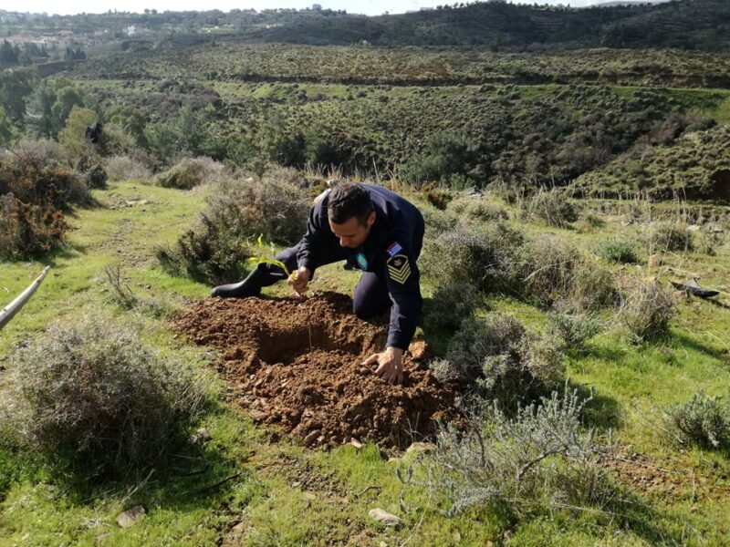 Δενδροφύτευση στην περιοχή του Κοφινά από τους σπουδαστές την ΑΕΝ Χίου